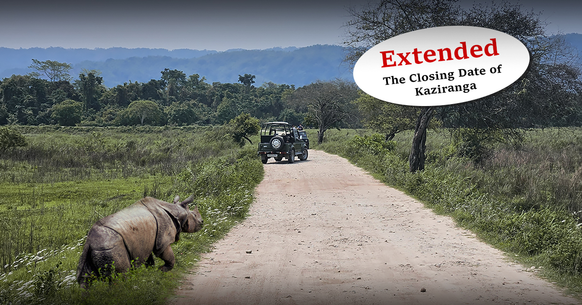 Why The Closing Date of Kaziranga Extended