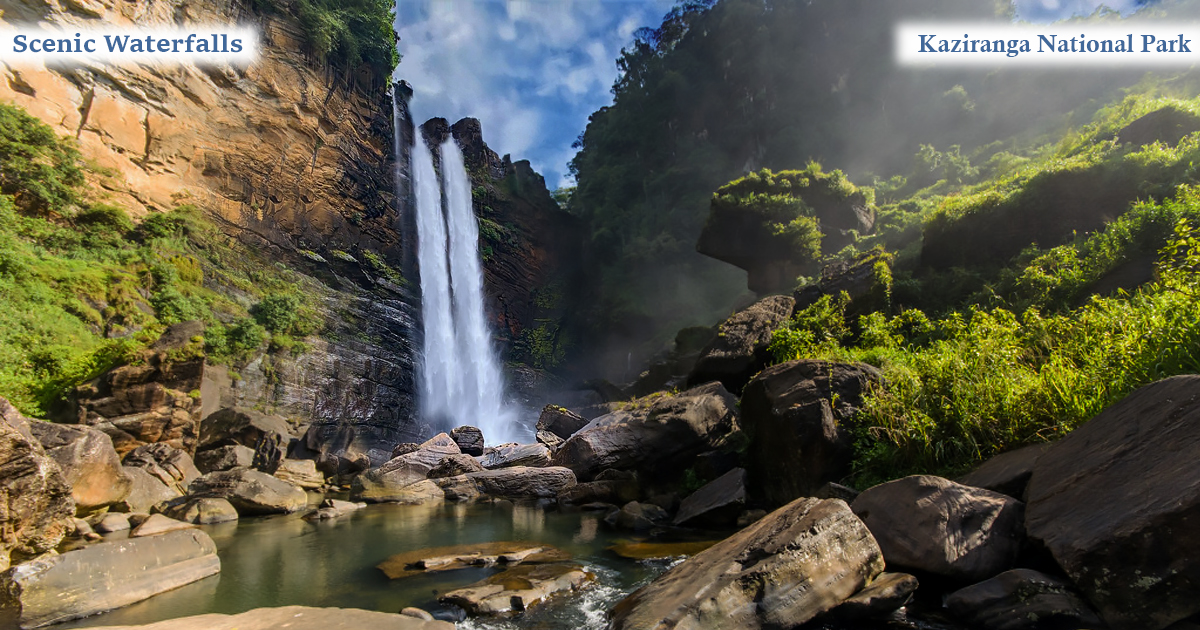 Scenic Waterfalls Near The Home of Rhinos