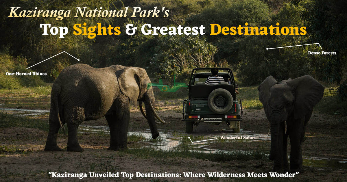 Kaziranga National Park's Top Sights & Greatest Destinations