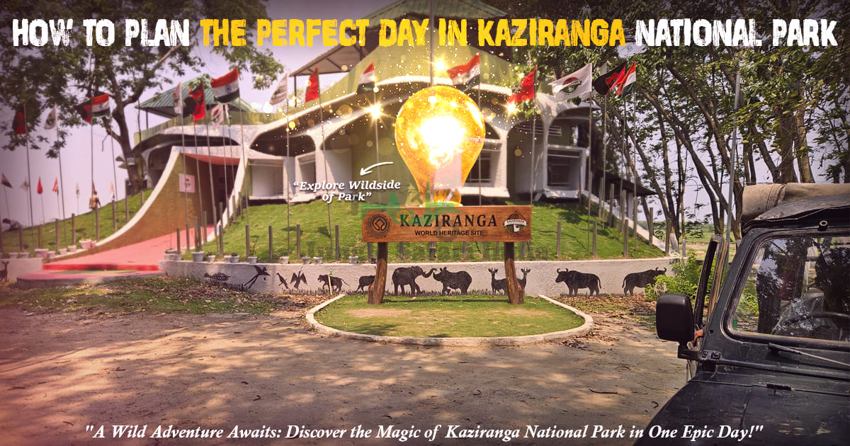 How To Plan The Perfect Day In Kaziranga National Park