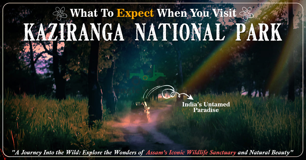 What To Expect When You Visit Kaziranga National Park