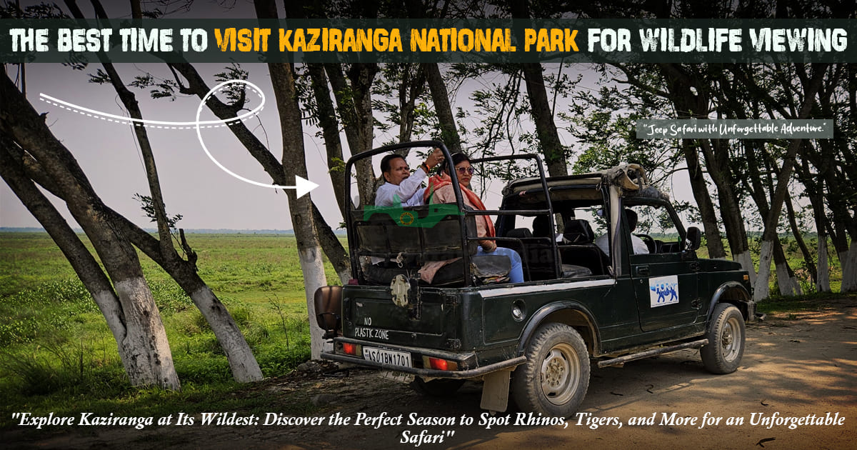 The Best Time To Visit Kaziranga National Park For Wildlife Viewing