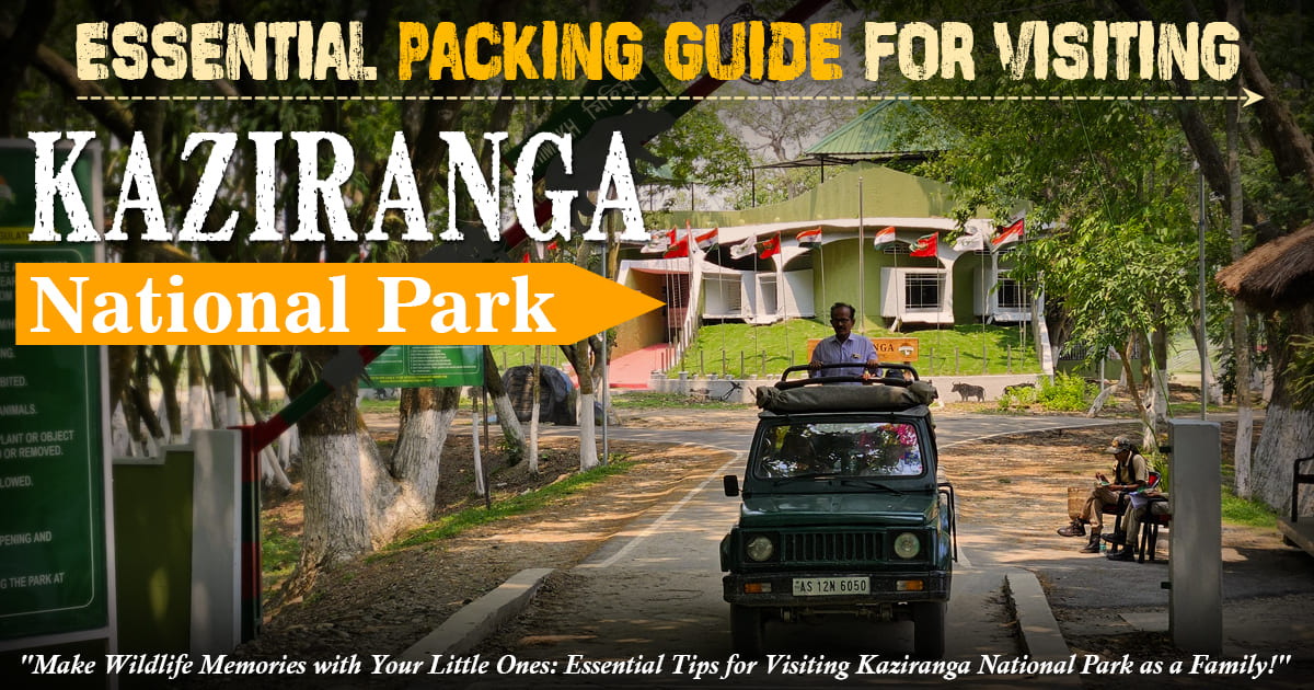 Essential Packing Guide for Visiting Kaziranga National Park