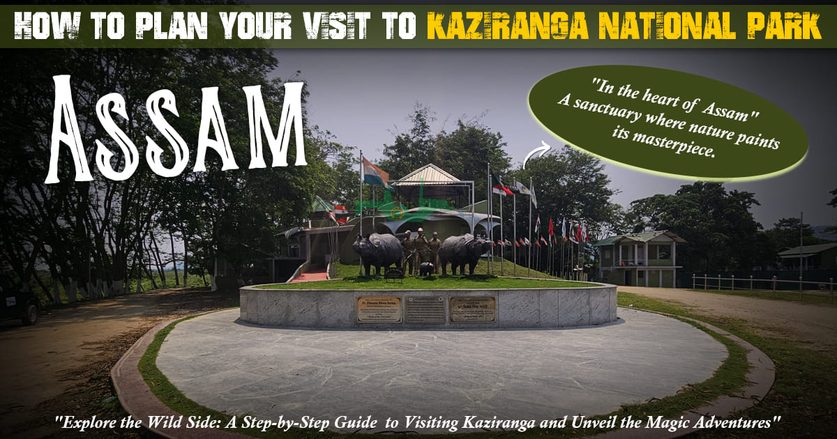 How To Plan Your Visit To Kaziranga National Park