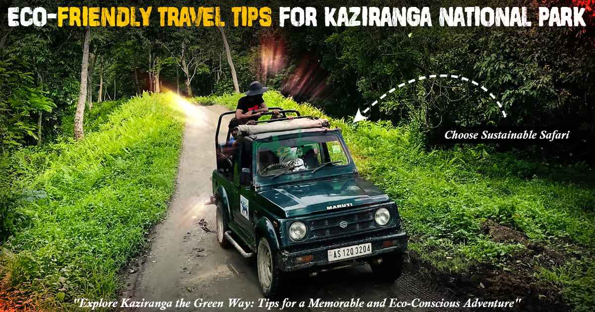 Eco-Friendly Travel Tips For Kaziranga National Park