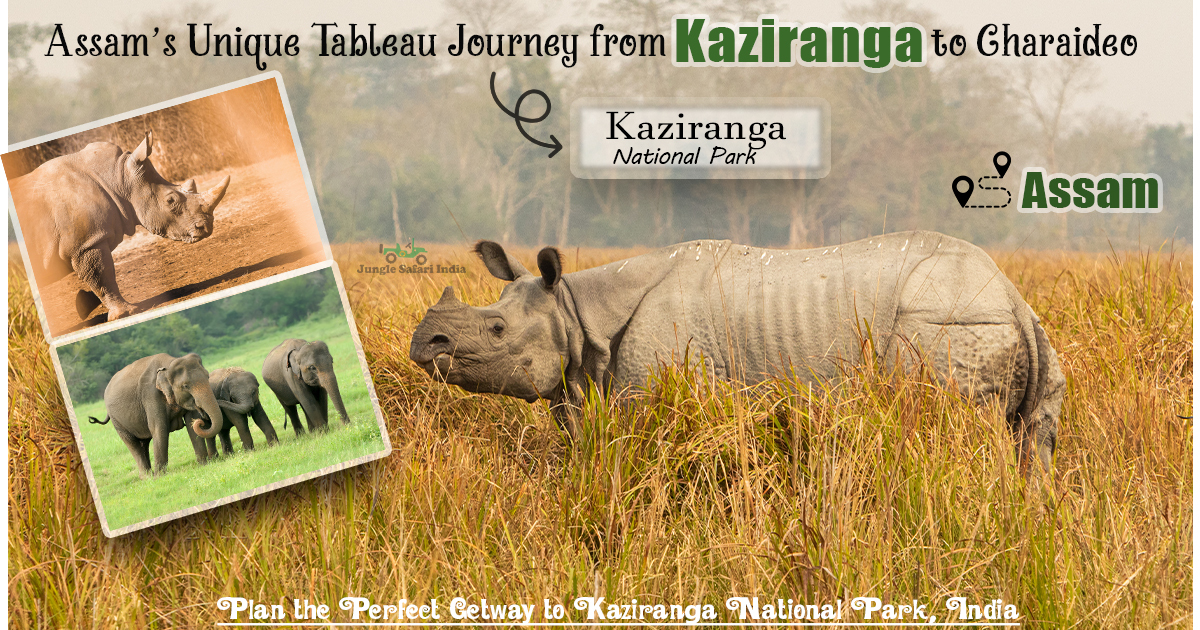 Assam’s Unique Tableau Journey From Kaziranga To Charaideo