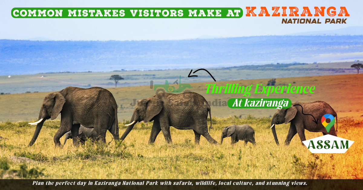 Common Mistakes Visitors Make At Kaziranga
