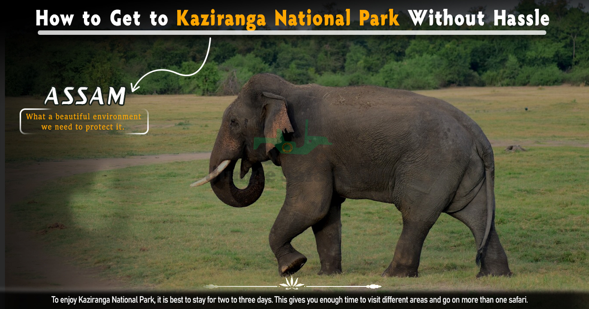How To Get To Kaziranga National Park Without Hassle
