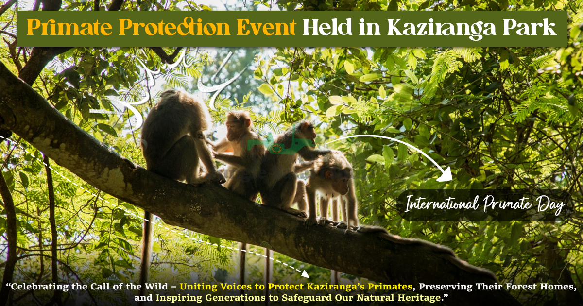 Primate Protection Event Held In Kaziranga Park