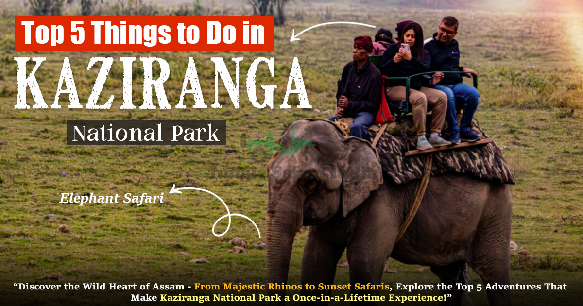 Top 5 Things to Do in Kaziranga National Park