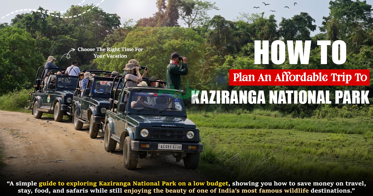 How to Plan an Affordable Trip to Kaziranga National Park