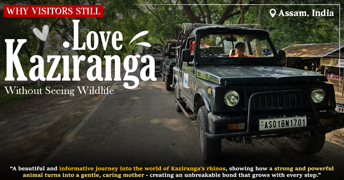 Why Visitors Still Love Kaziranga Without Seeing Wildlife