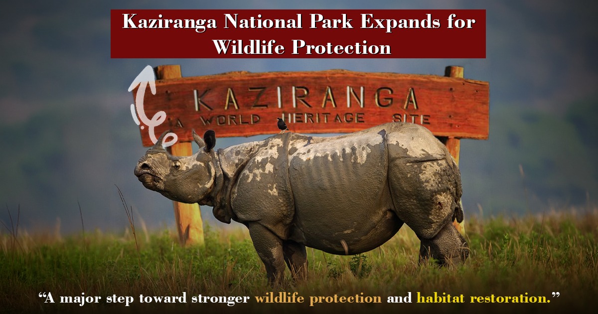 Kaziranga National Park Expands For Wildlife Protection