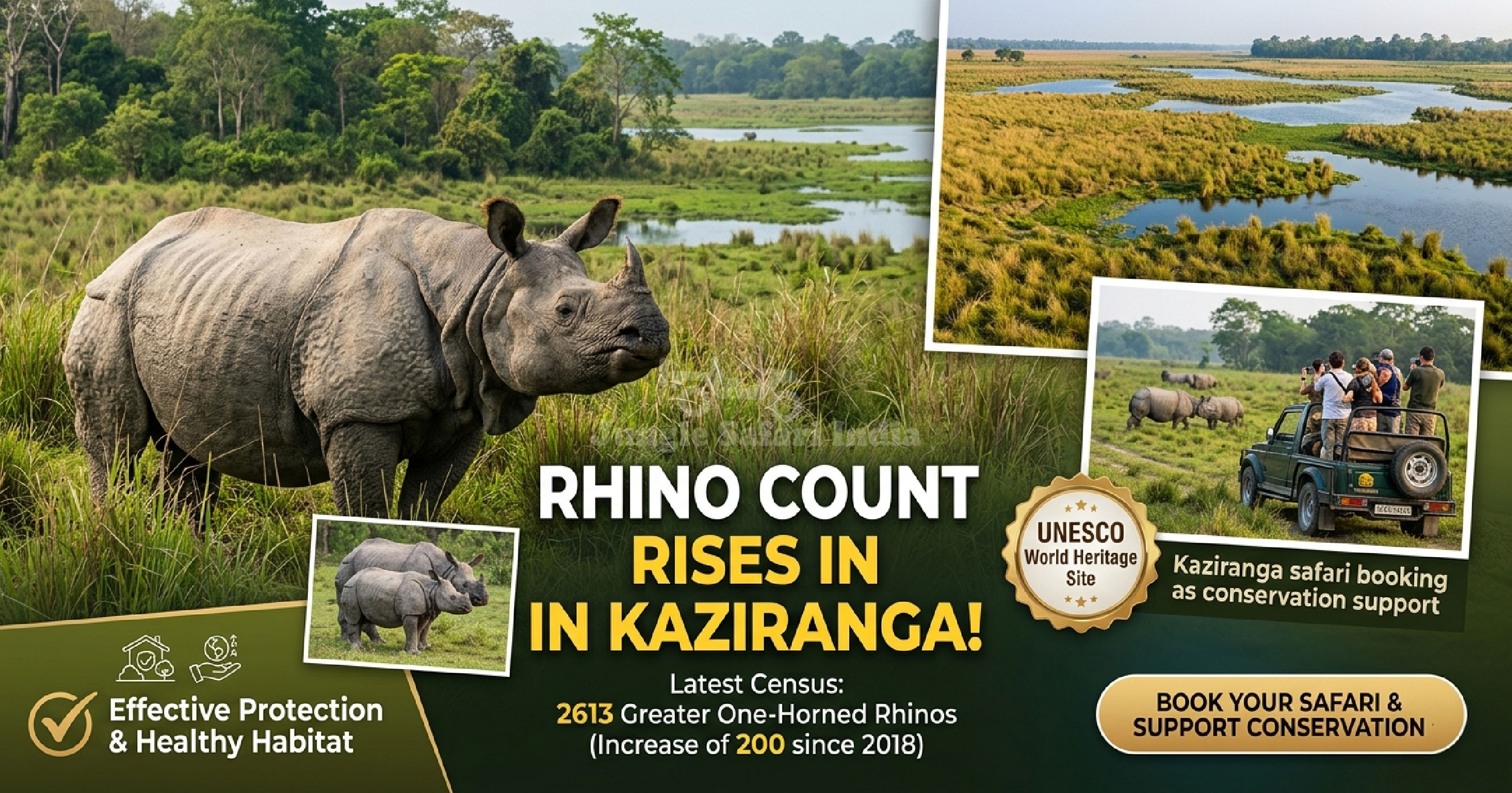 Rhino Count Rises In Kaziranga National Park