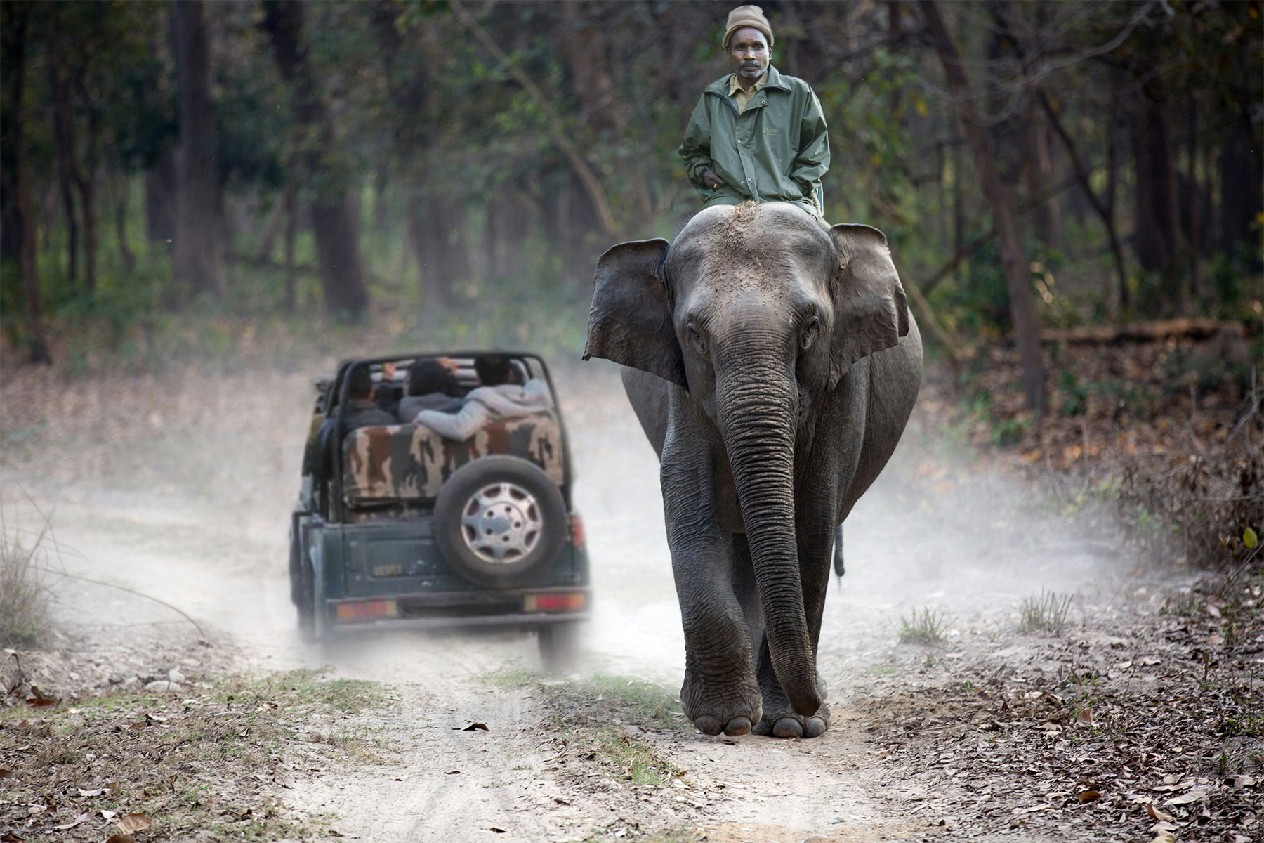 Kaziranga Wildlife Tour with Elephant and Gypsy Safari