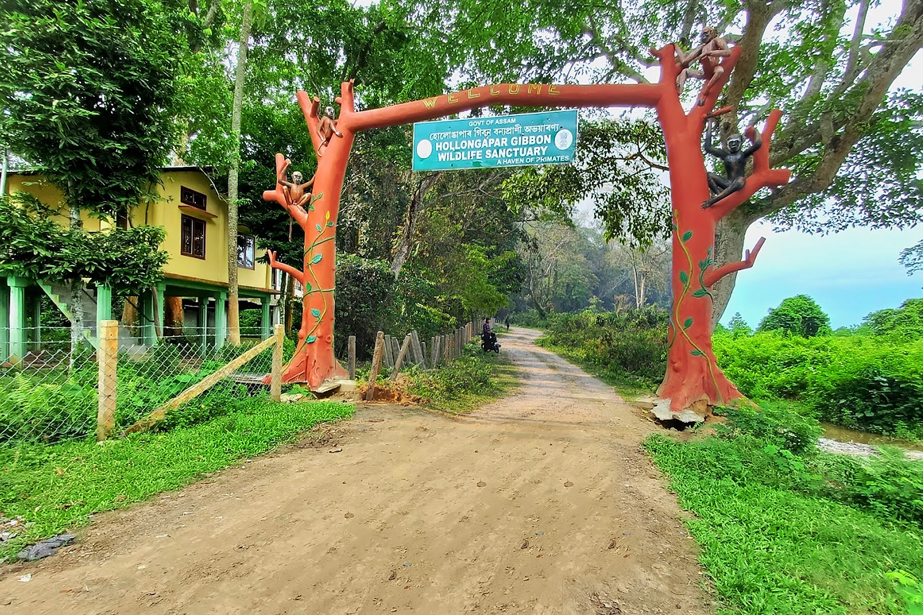 Hoollongapar Gibbon Wildlife Sanctuary