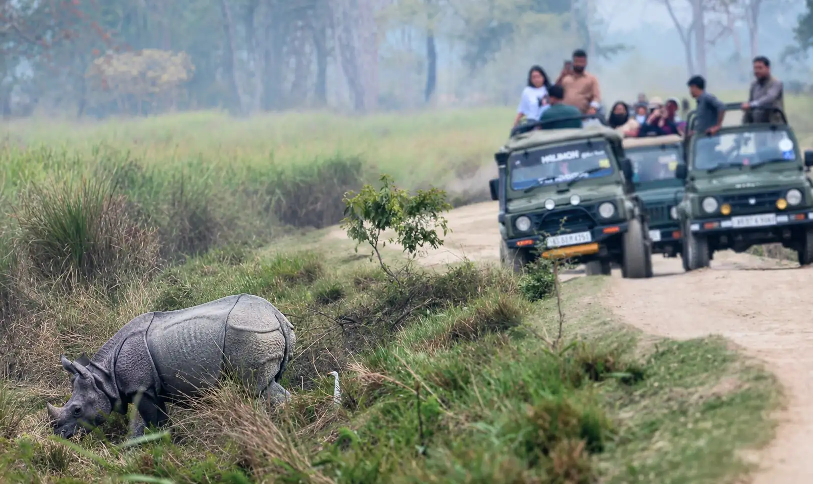 Jeep safari in Kaziranga